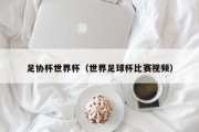 足协杯世界杯（世界足球杯比赛视频）
